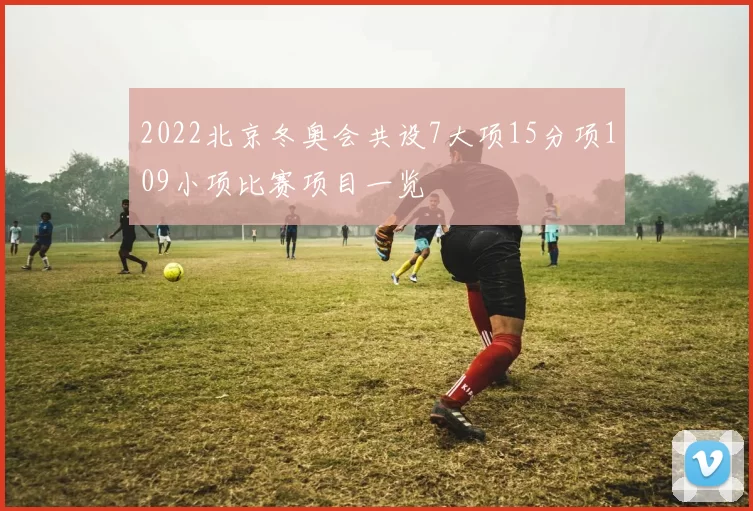 2022北京冬奥会共设7大项15分项109小项比赛项目一览