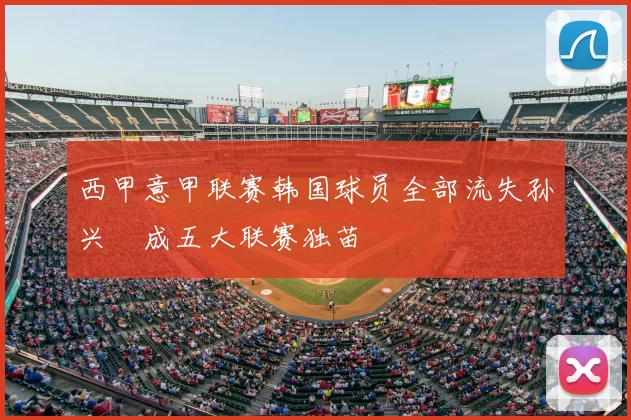 西甲意甲联赛韩国球员全部流失孙兴慜成五大联赛独苗