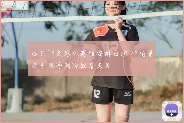 法乙18支球队赛程安排出炉 38轮争夺升级冲刺阶段看点足